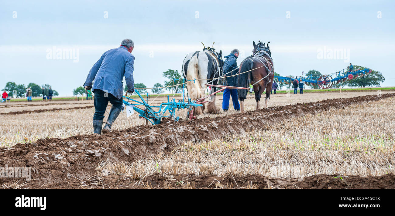 Nocton, Lincoln, Lincolnshire, UK. 12th October 2019.    Over 200 champion ploughmen and women from all over the country have assembled near Lincoln to compete in the 2019 British National Ploughing Championships.  The competition includes many types of plough and styles of ploughing across the 250-acre site; including heavy horses, vintage tractors and steam ploughing engines.  The championships, now in there 69th year, are organised by The Society of Ploughmen with the objective of promoting and encourage the art, skill and science of ploughing the land. Credit: Matt Limb OBE/Alamy Live News Stock Photo