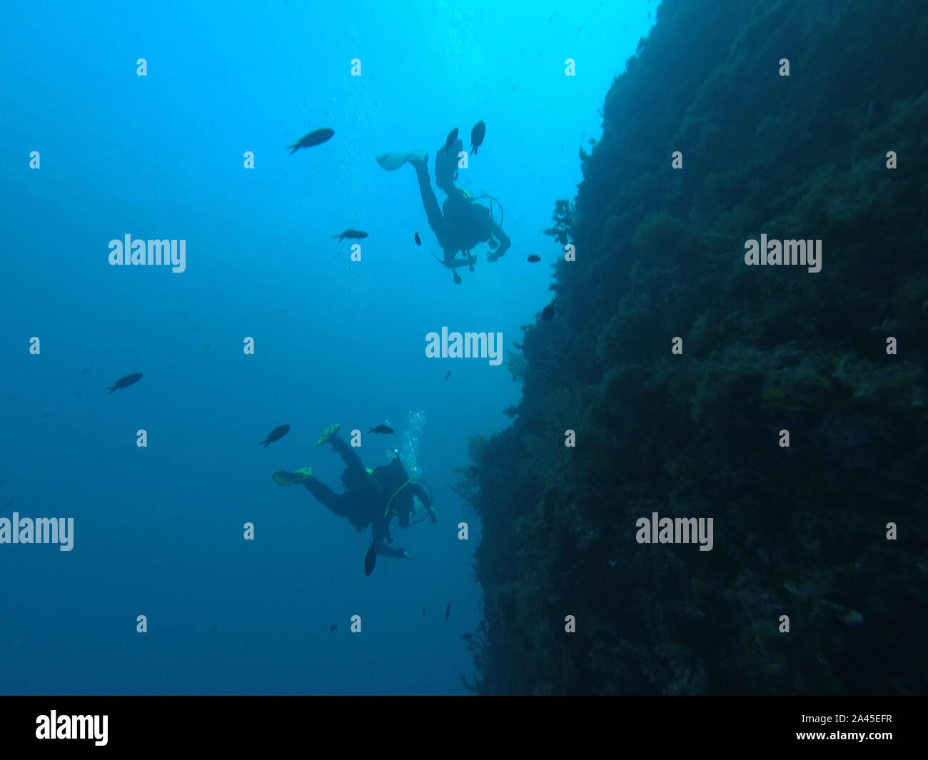Scuba diving school hi-res stock photography and images - Alamy