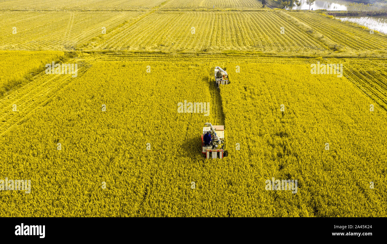 Machine For Rice Fieldd Machines harvesting rice field hi-res stock photography and images - Alamy
