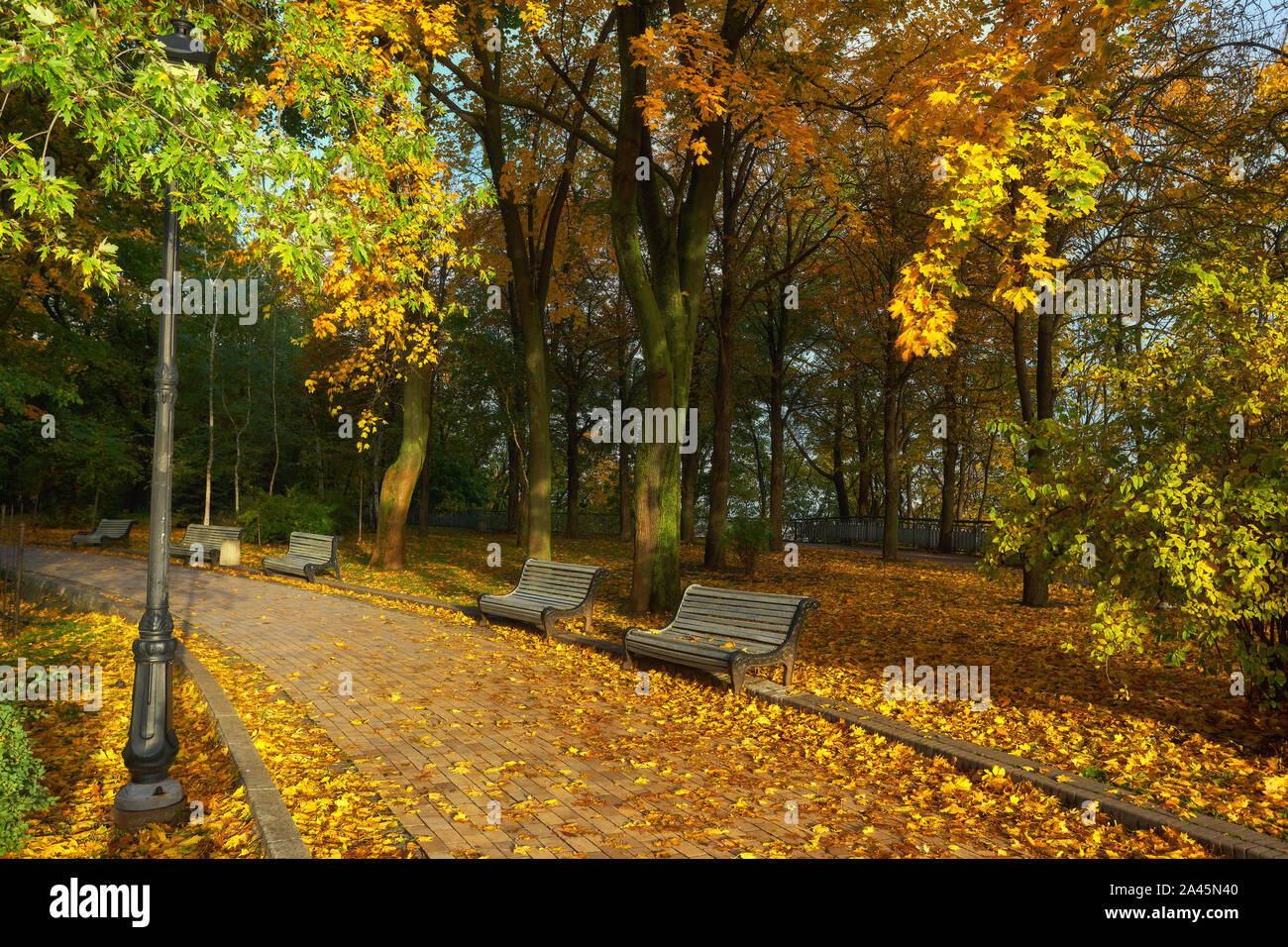 Park with bench on alley in yellow autumn Stock Photo - Alamy