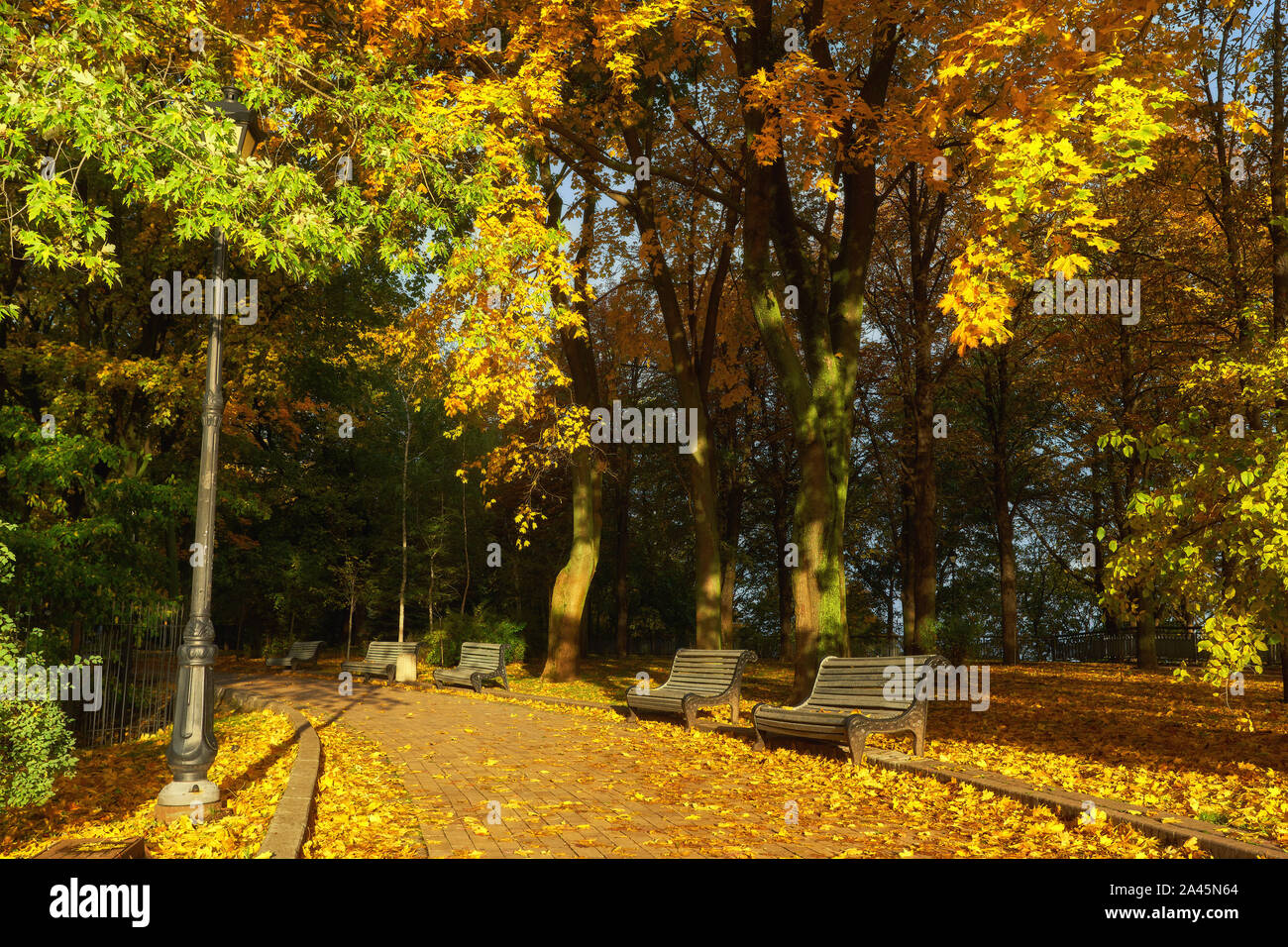 Park with bench on alley in yellow autumn Stock Photo - Alamy