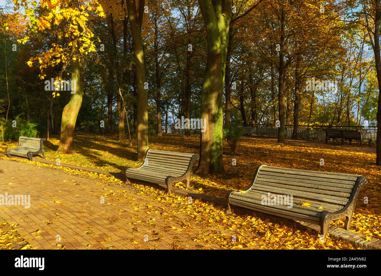 Park with bench on alley in yellow autumn Stock Photo - Alamy