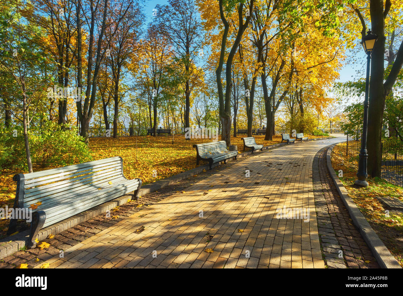 Park with bench on alley in yellow autumn Stock Photo - Alamy