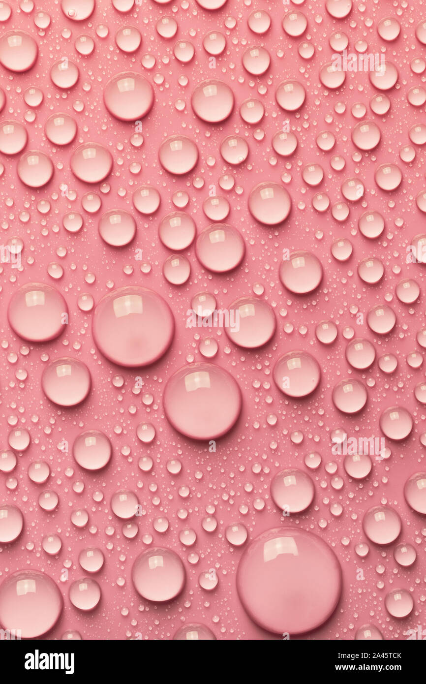 Close-up of water drops on smooth surface, pink background Stock Photo ...
