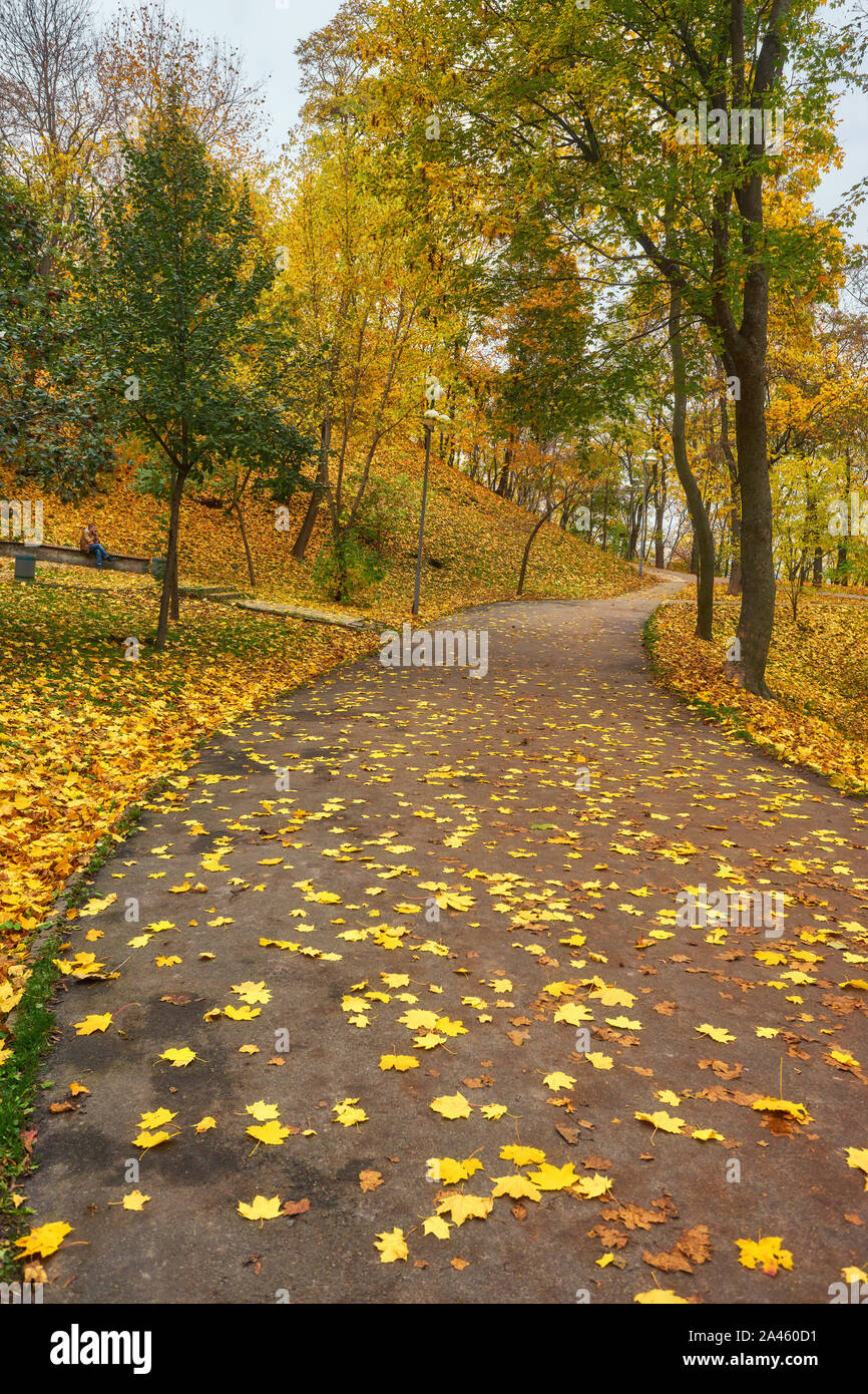 Beautiful romantic alley in a park with colorful trees and sunlight ...
