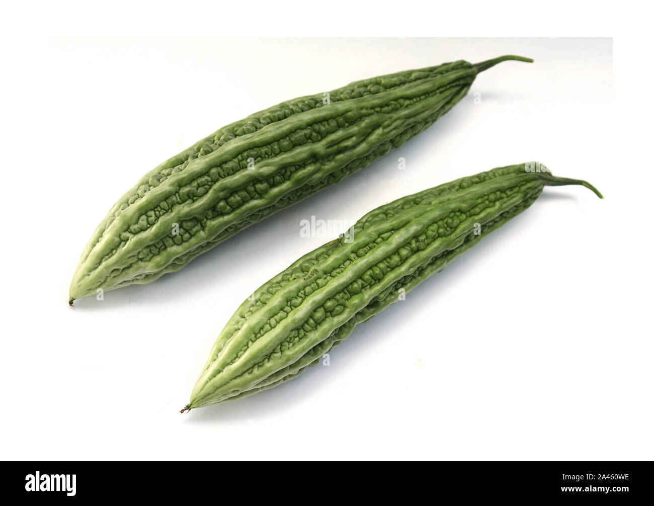 Cucumber bitter hires stock photography and images Alamy