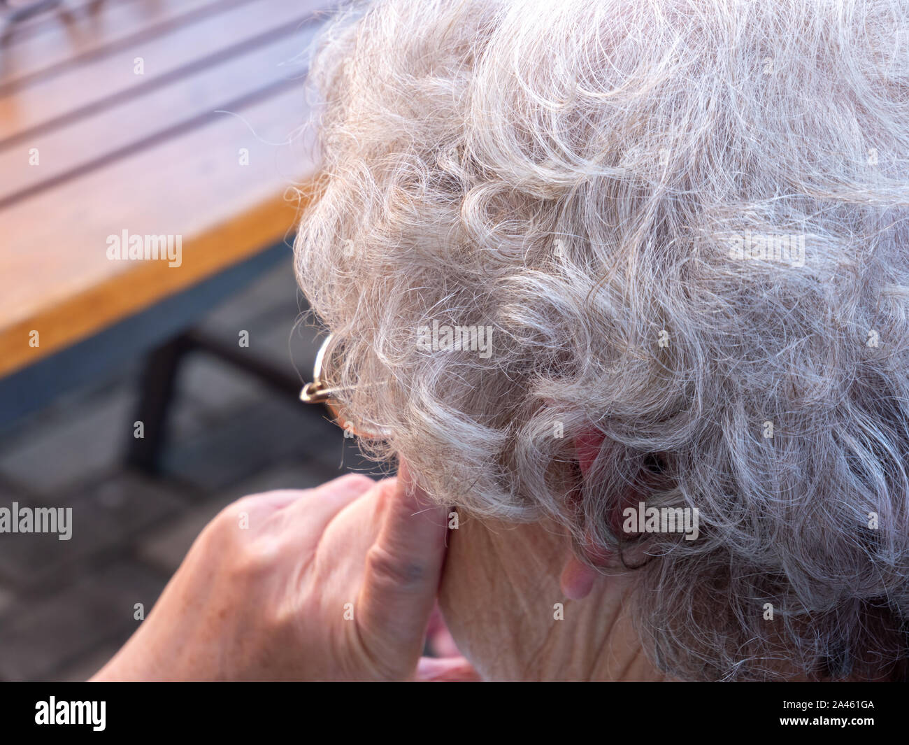 Gray hair of an old woman Stock Photo