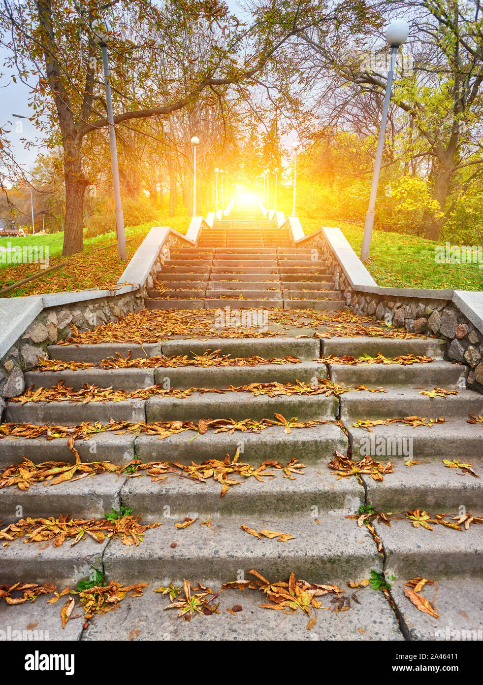Autumn sunny day, steps of stairs in the old park, many fallen foliage.  Seasons. Natural background in golden color Stock Photo - Alamy