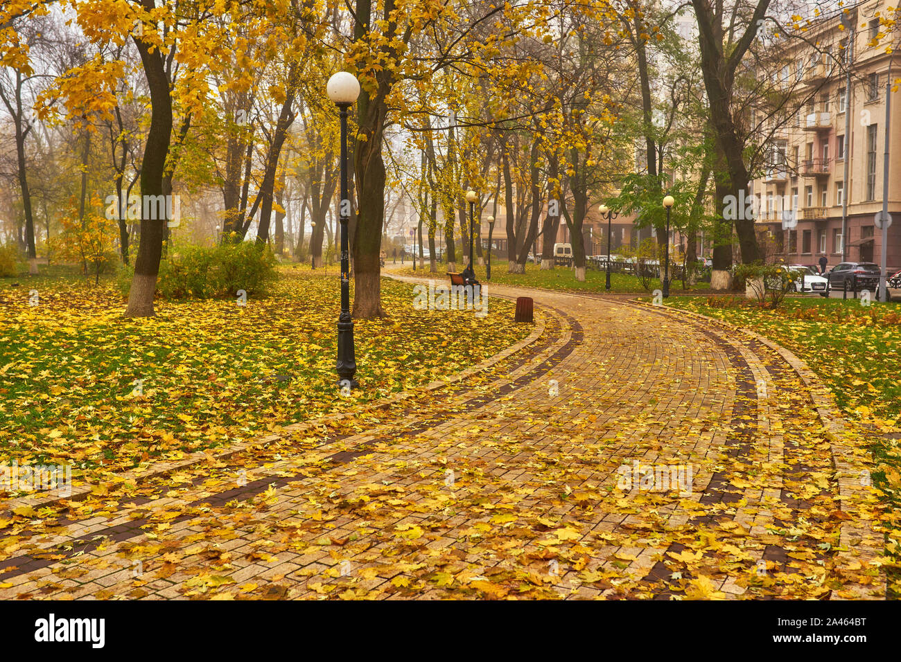 Beautiful romantic alley in a park with colorful trees and sunlight ...