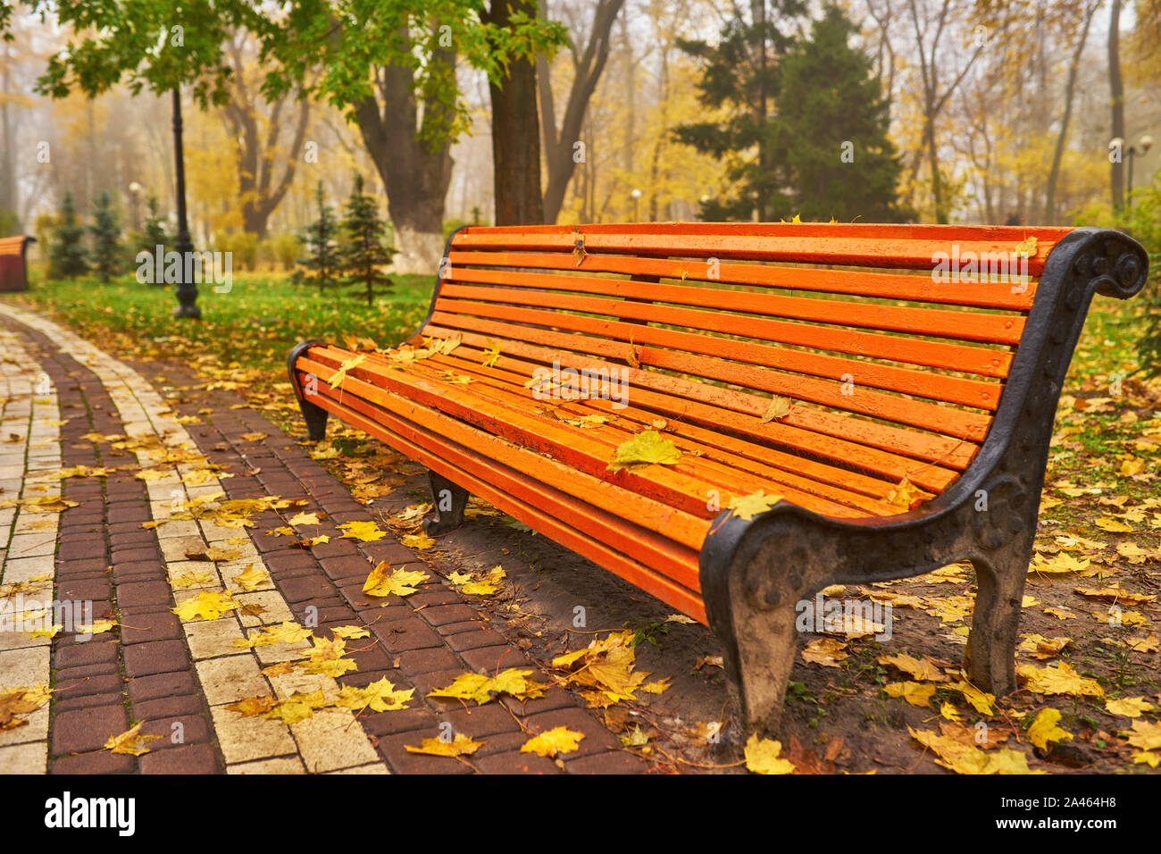 Park with bench on alley in yellow autumn Stock Photo - Alamy