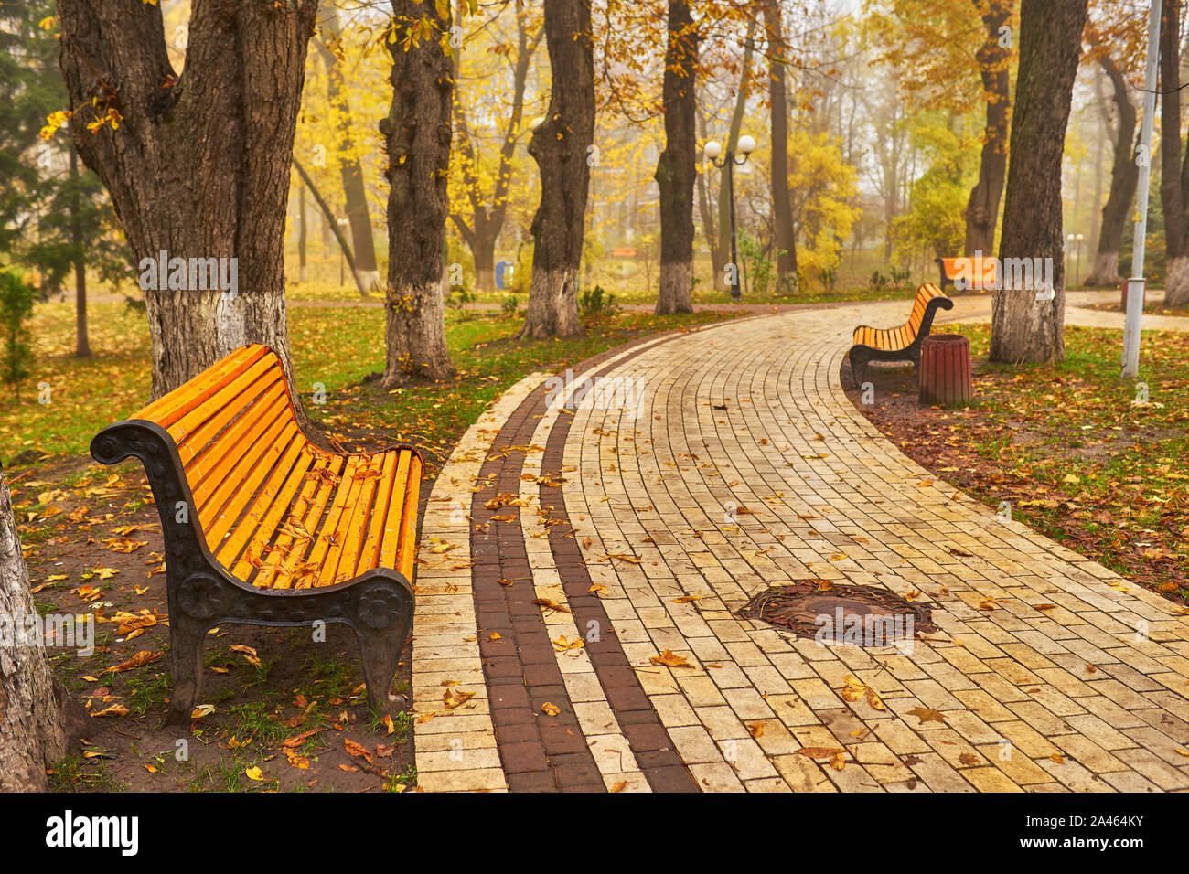 Park with bench on alley in yellow autumn Stock Photo - Alamy