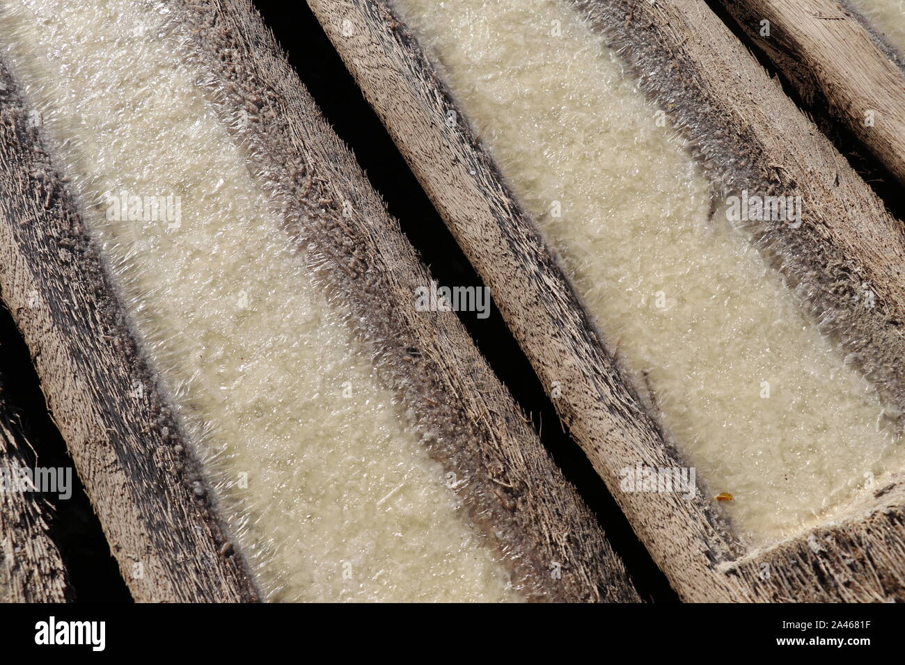 Process of production and crystallization of salt from sea water