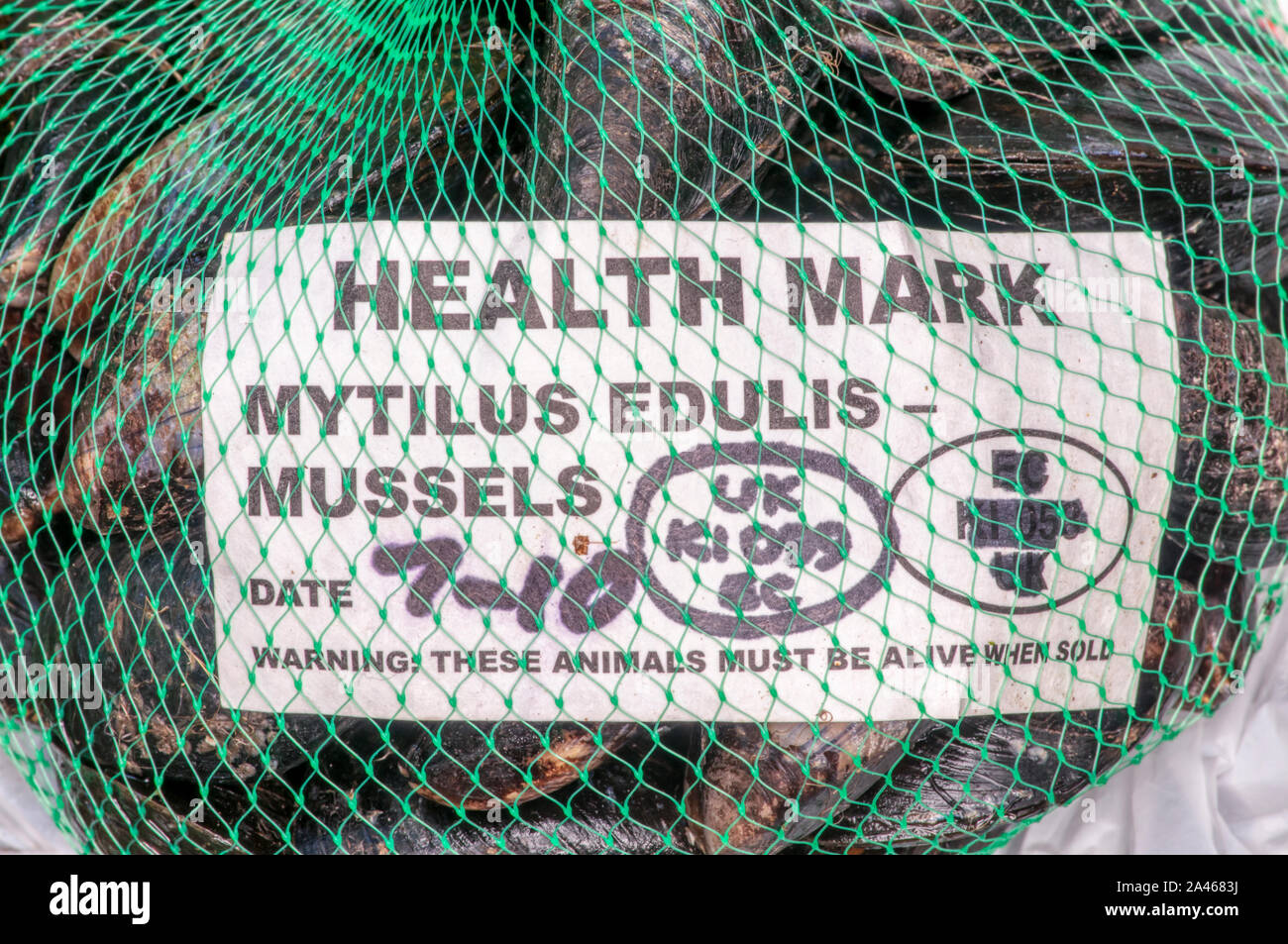 Sign on a bag of Brancaster mussels includes their Latin name, Mytilus edulis, & warns These animals must be alive when sold. Stock Photo