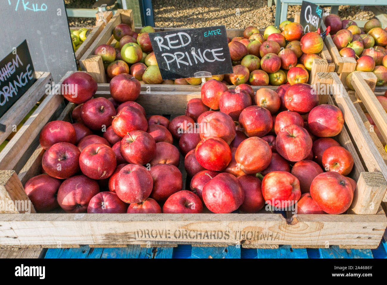 Box of red prince eating apples for sale at a Norfolk farm shop. Stock Photo