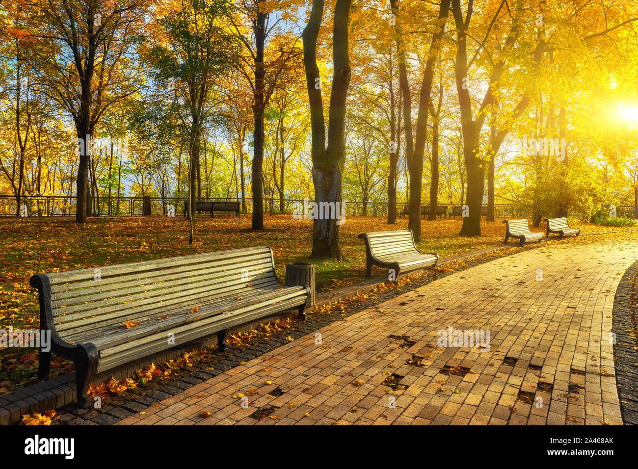 Park with bench on alley in yellow autumn Stock Photo - Alamy
