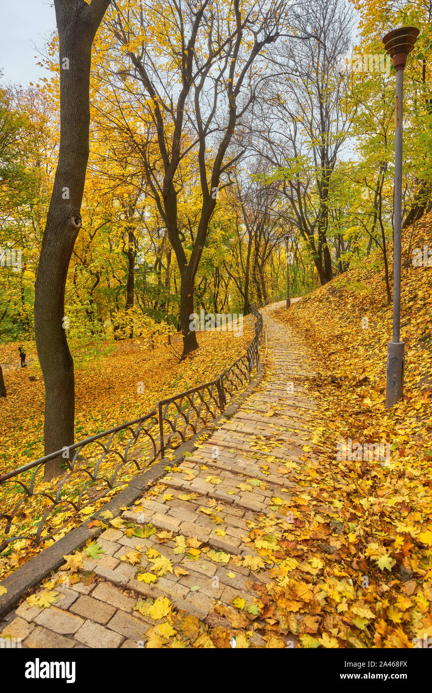 Beautiful romantic alley in a park with colorful trees and sunlight ...