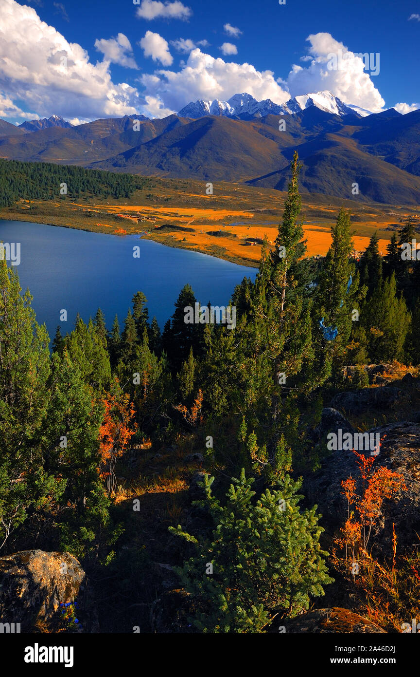 View of Cuopugou Valley Nature Reserve that borders Tibet Autonomous Region in Sichuan province, south-west China, 2 September 2019. Stock Photo