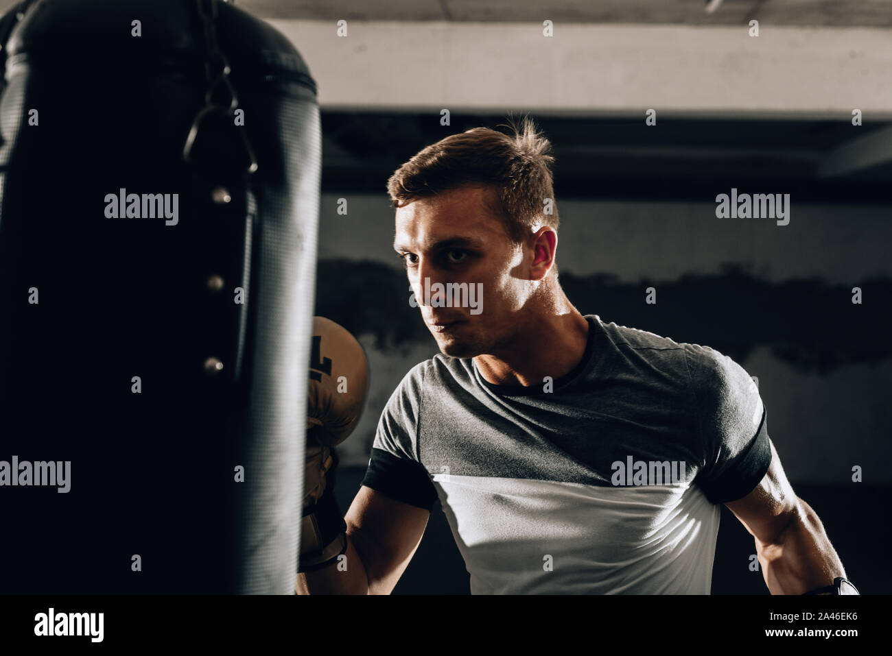 Young muscle boxer using a punching bag in gym. Boxer hitting punching