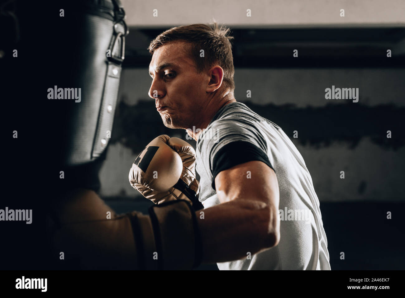 Male boxer training with punching bag in dark sports hall. Male boxer as  exercise for the big fight. Boxer hits punching bag Stock Photo - Alamy