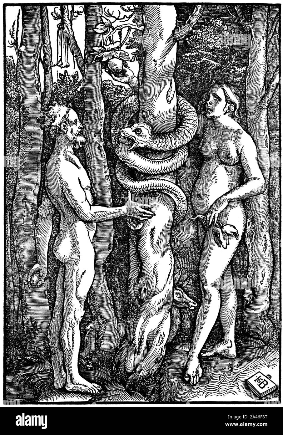 Woodcut by Hans Baldung Grien, Adam and Eve in paradise, Adam und Eva im Paradies Stock Photo