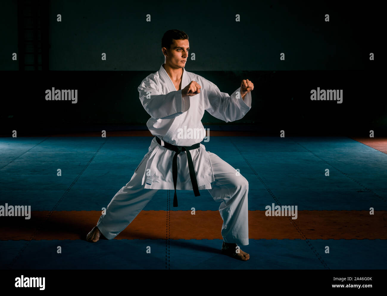 Male Karate Fighter Performing Kick Isolated On Dark Background In The male-karate-fighter-performing-kick-isolated-on-dark-background-in-the