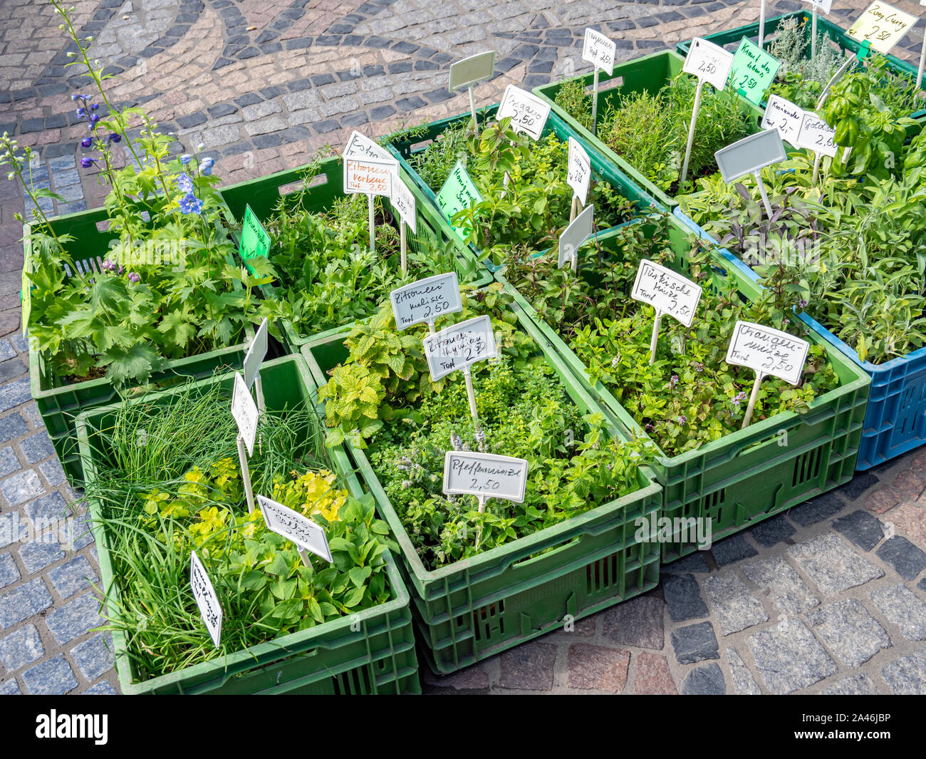 Fresh herbs at the weekly market Stock Photo Alamy