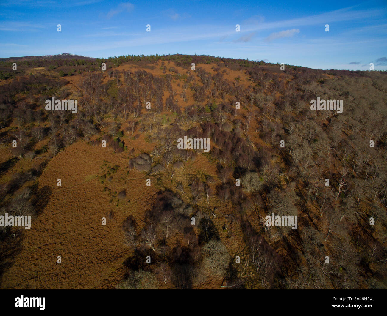 Aerial view of Migdale Woods in the Scottish Highlands of Sutherland Scotland UK Stock Photo