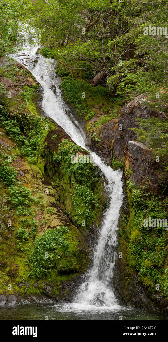 Sullivan Creek Falls, a delightful little sight right beside Forest Service Road #2207 in the Opal Creek Scenic Recreation Area near Mehama, Oregon Stock Photo