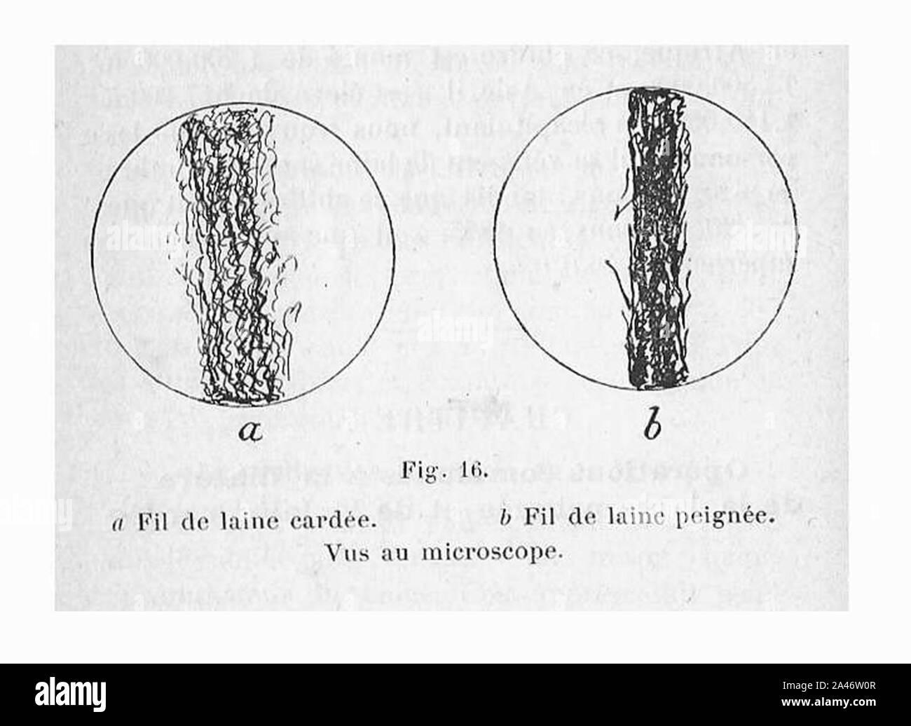Fil de laine peignée & cardée Stock Photo - Alamy