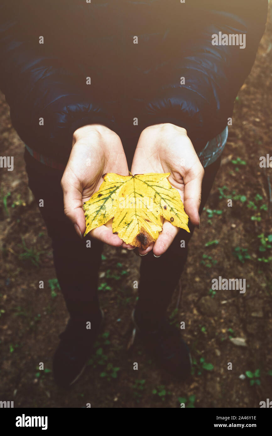 Girl holding leaf in hands. Autumn mood, fall concept Stock Photo