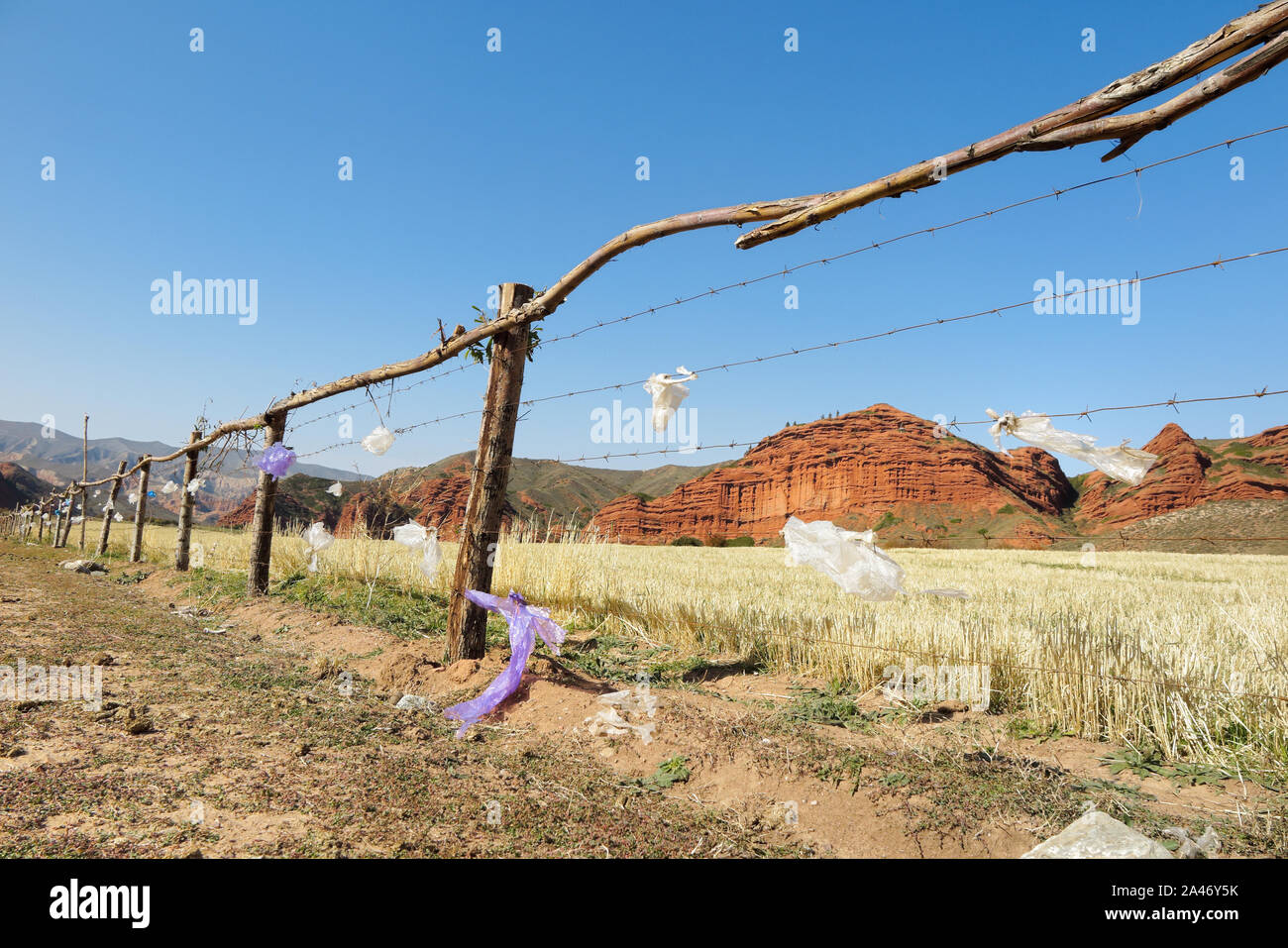 A plastic trash hanging on a field fence in Jety Ogyz, Kyrgyzstan Stock Photo