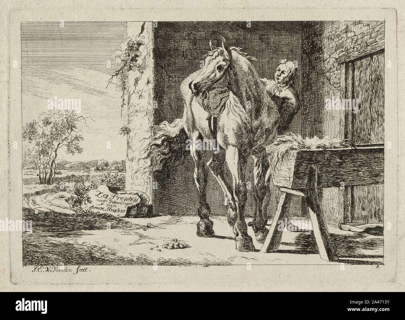 Svauoumu Automatische drinkbak voor schapen, drinkbak voor vee met afvoergat, automatische drinkbak voor schapen, geiten, paarden, automatische drinkbak voor vee (2 stuks