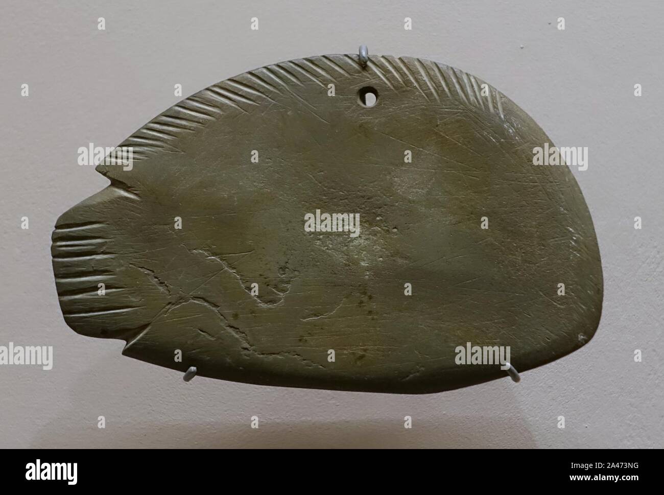 Fish palette, Egypt, Predynastic Period, c. 4500-3100 BC, slate Stock Photo