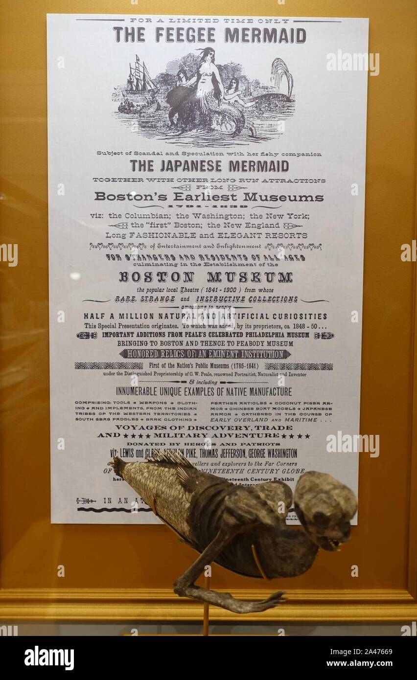Feejee Mermaid, shown in P.T. Barnum's American Museum, 1842, as leased from Moses Kimball of the Boston Museum, papier-mache - Stock Photo