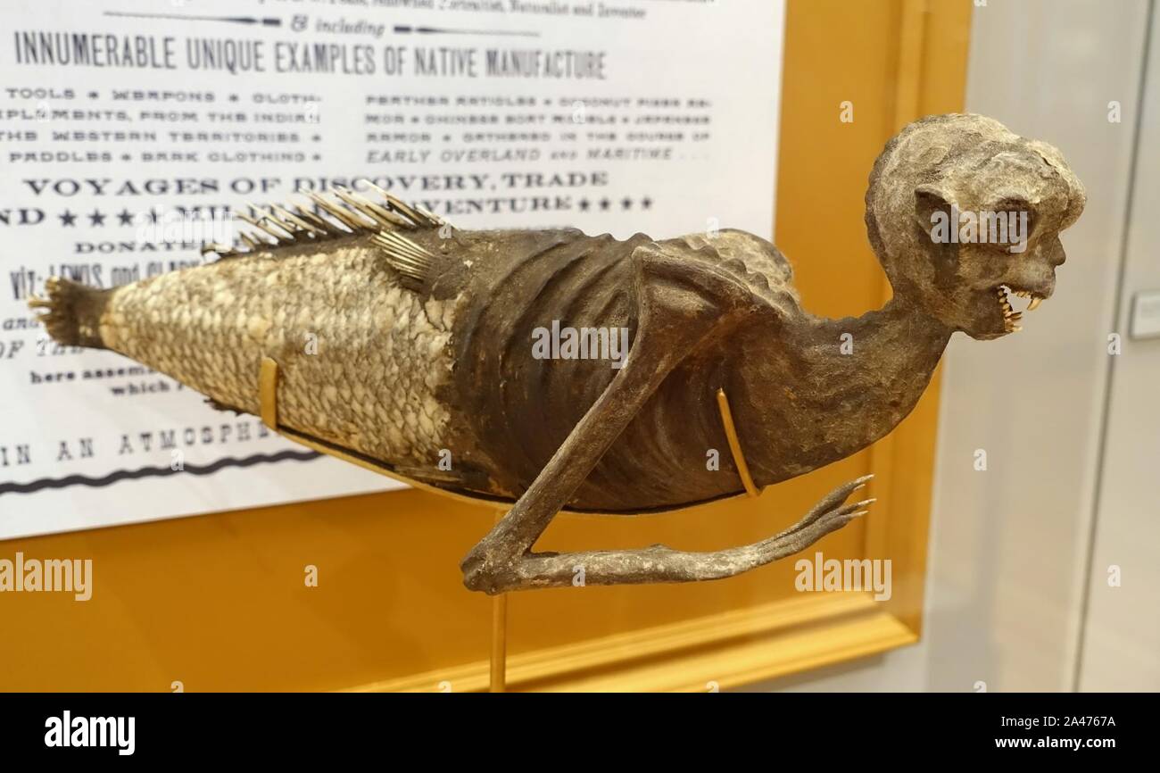 Feejee Mermaid, shown in P.T. Barnum's American Museum, 1842, as leased from Moses Kimball of the Boston Museum, papier-mache - Stock Photo