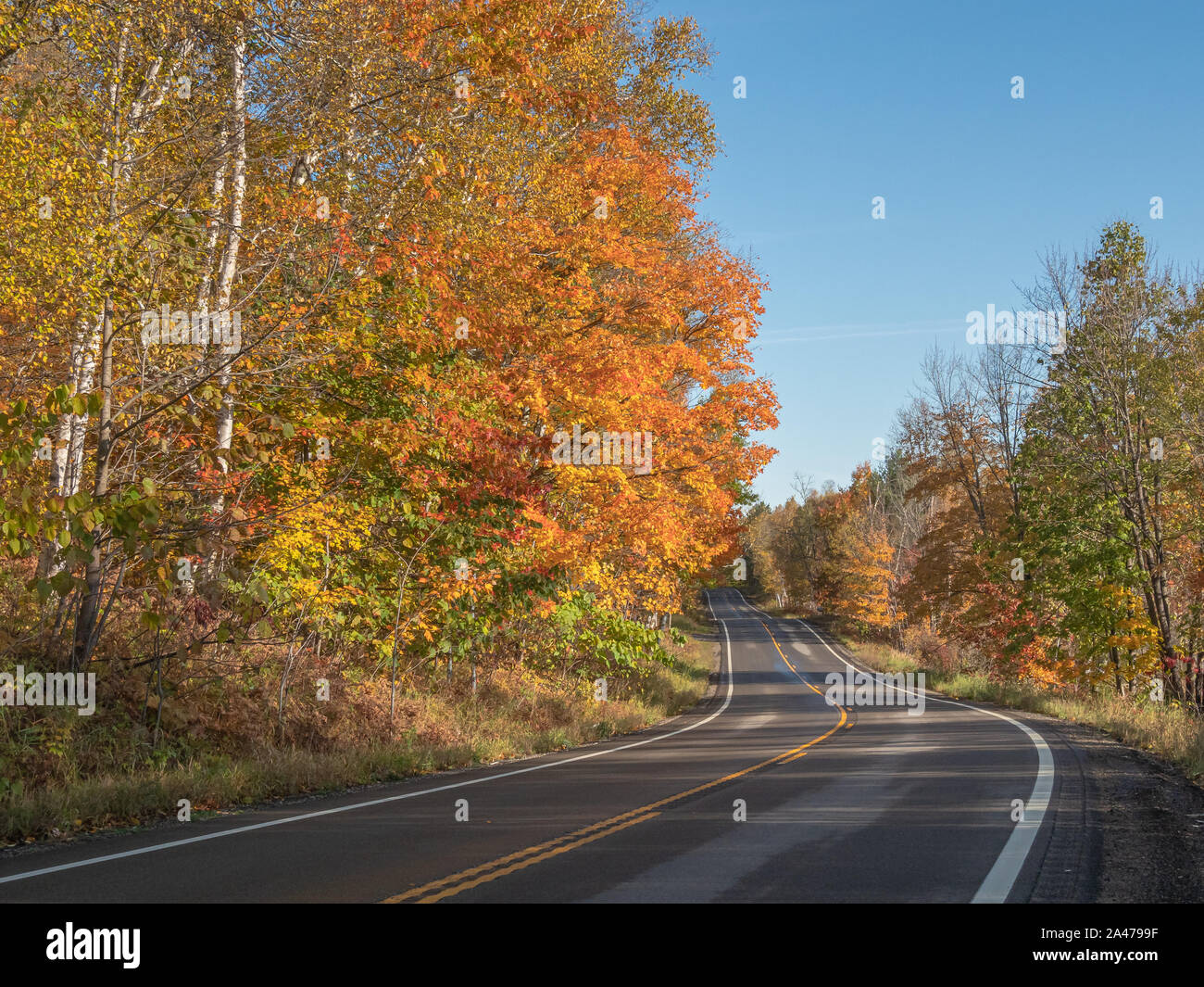 Colorful yellow and orange leaves line a two-lane road winding through the northern woods on a sunny fall day in the United States. Stock Photo