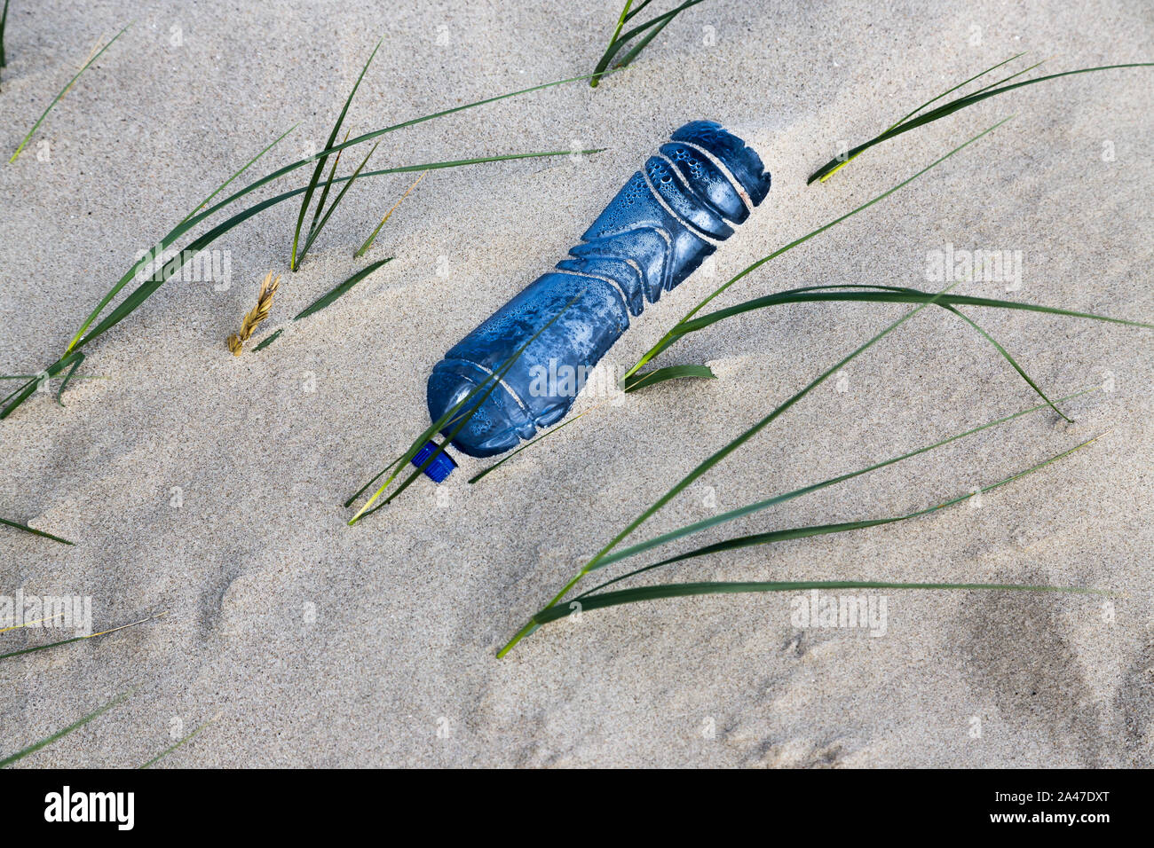 plastic bottle in the sand Stock Photo