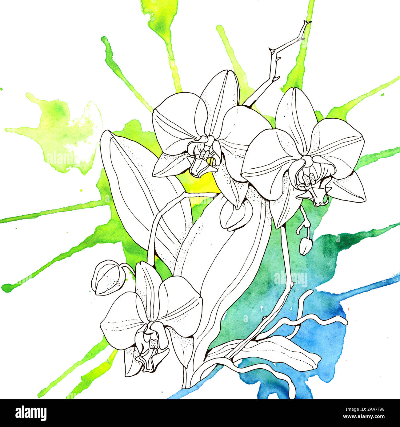 Hand painted wallpaper Cut Out Stock Images & Pictures - Alamy