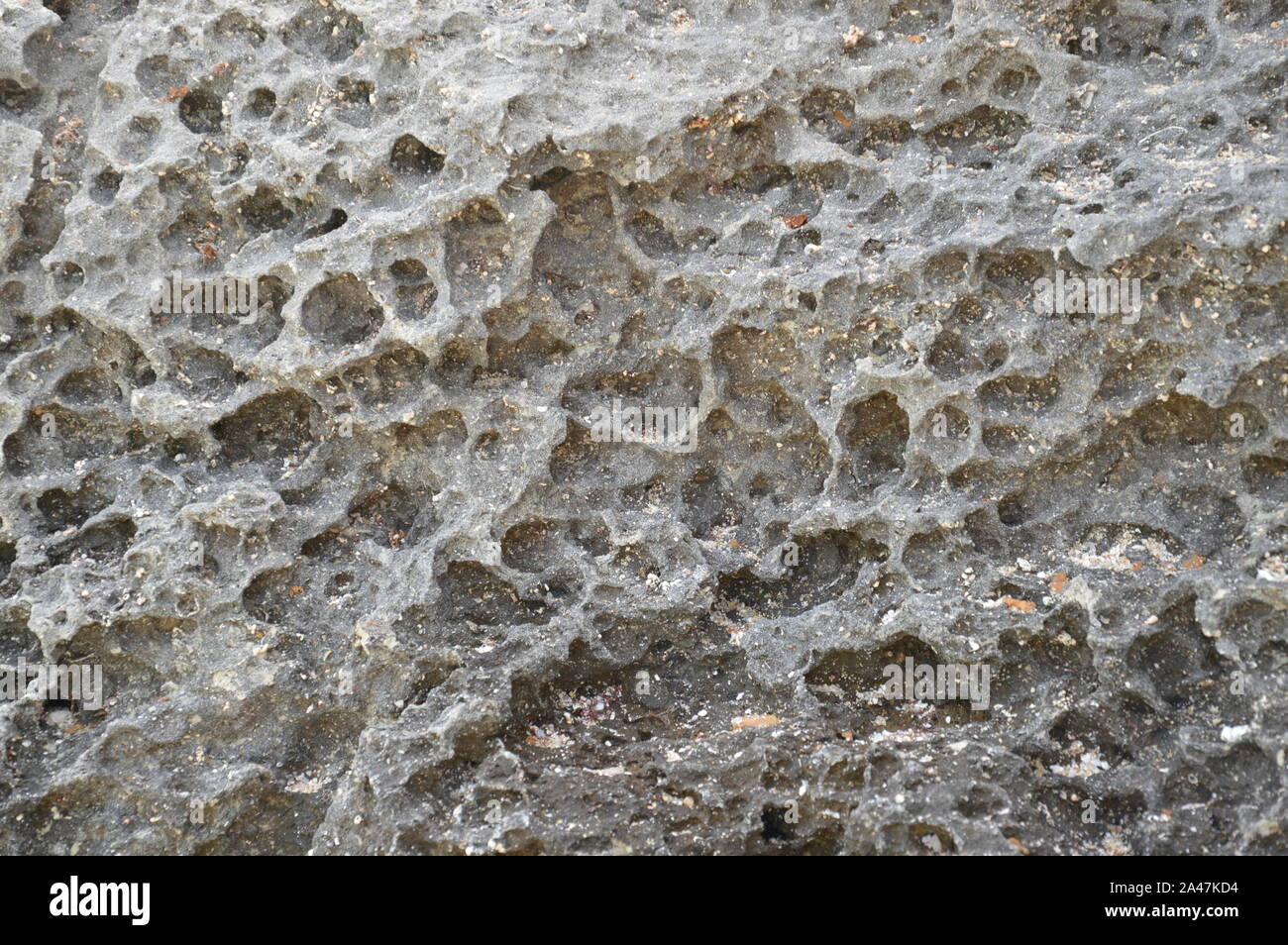 kish, A trip to an island in southern Iran Stock Photo - Alamy