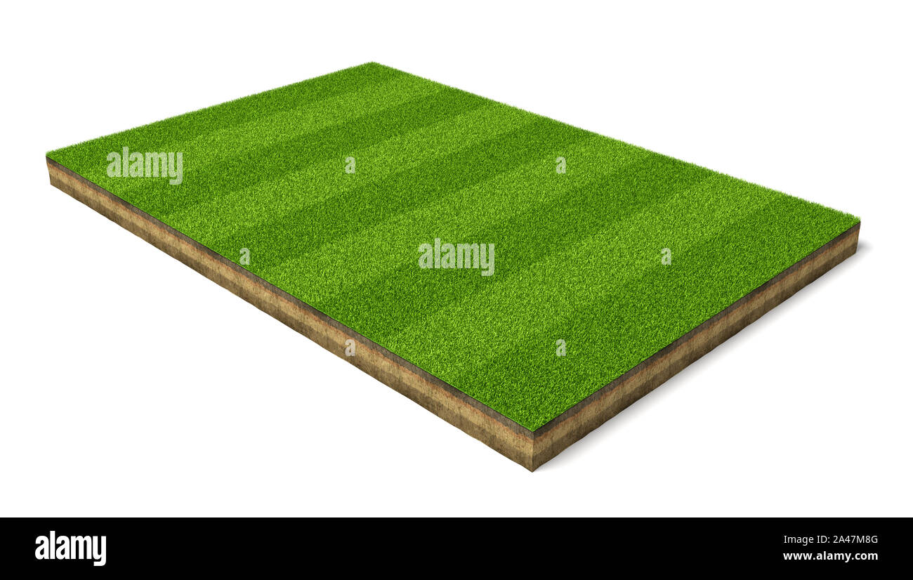 3d rendering of an isolated sports field with green grass on a white background. Sports field