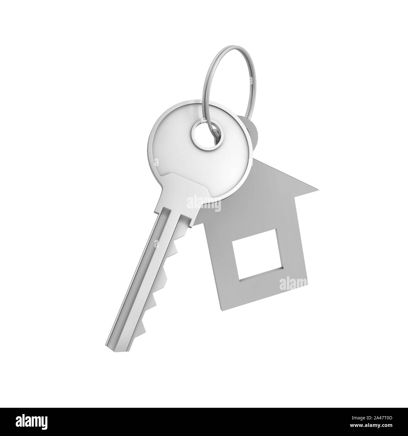 3d rendering of a single silver key with label isolated on white ...