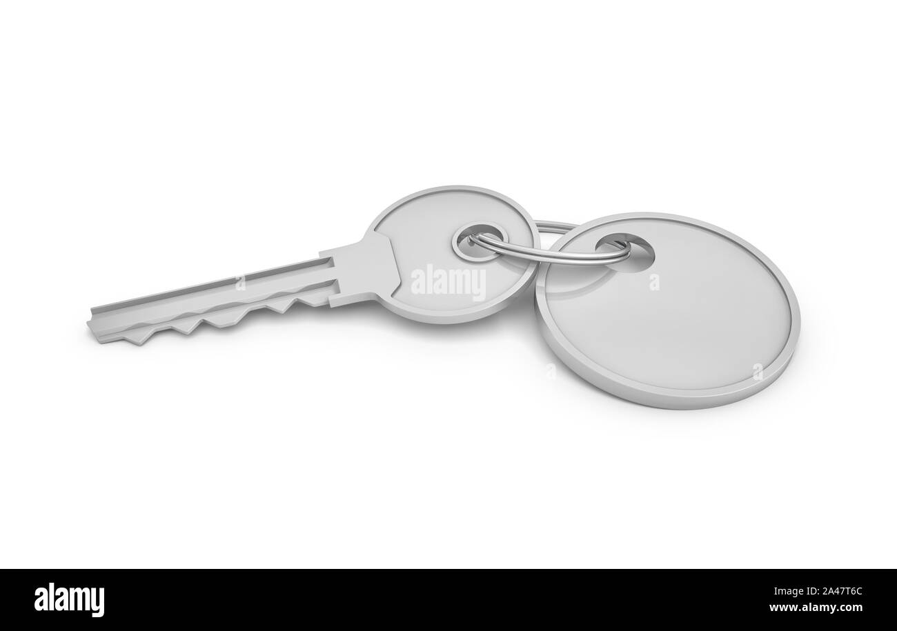 3d rendering of a single silver key with label isolated on white ...