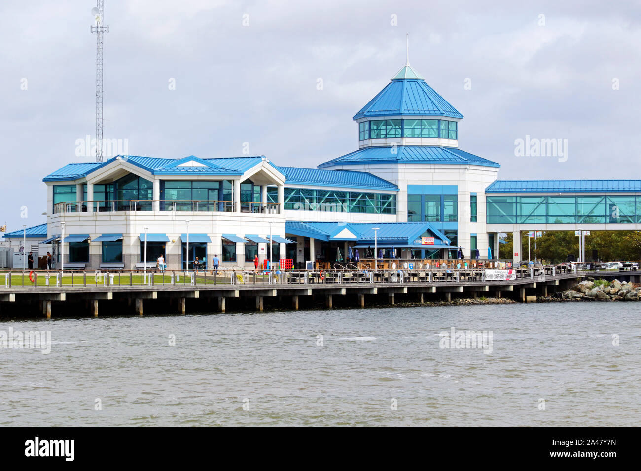 Can Dogs Go On The Cape May Ferry
