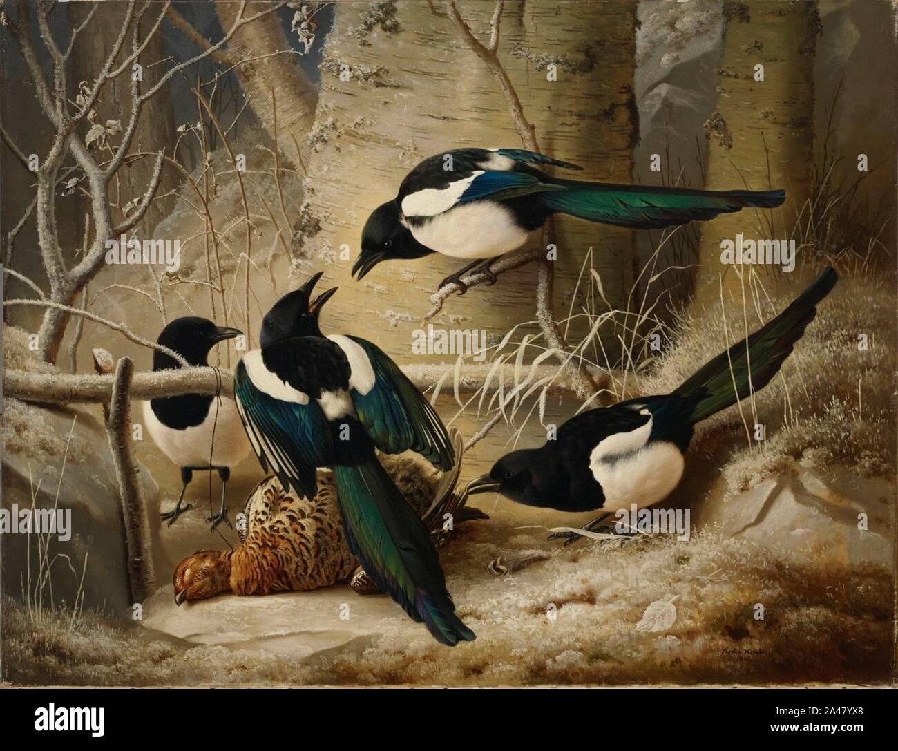 Ferdinand Von Wright Stock Photo Alamy