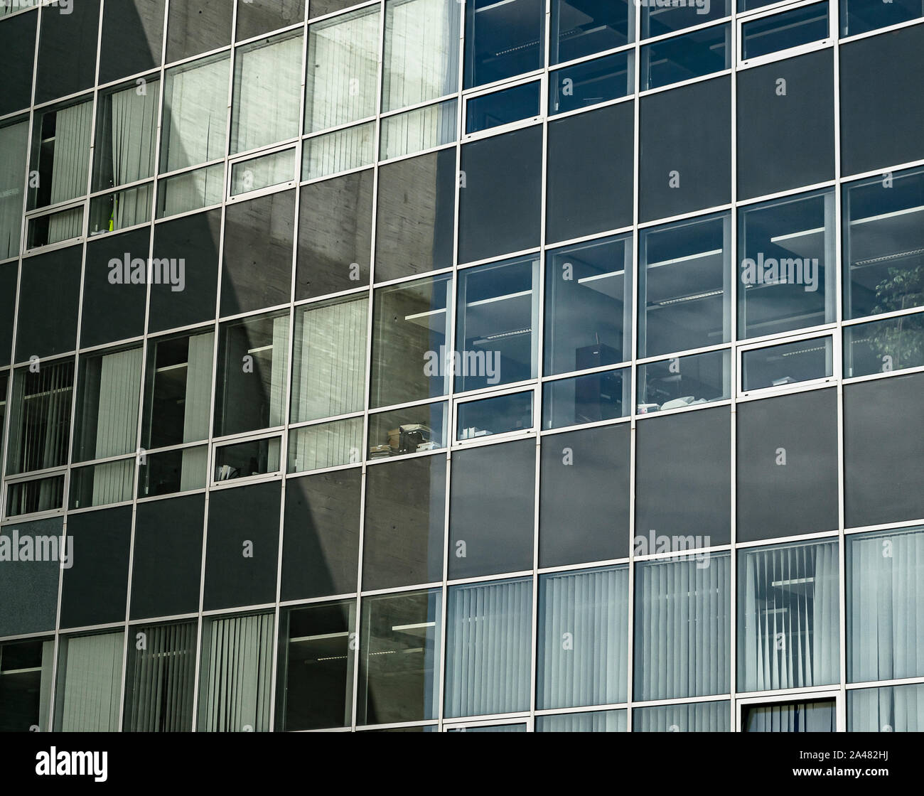 A lot of windows in a office building with blue glasses Stock Photo