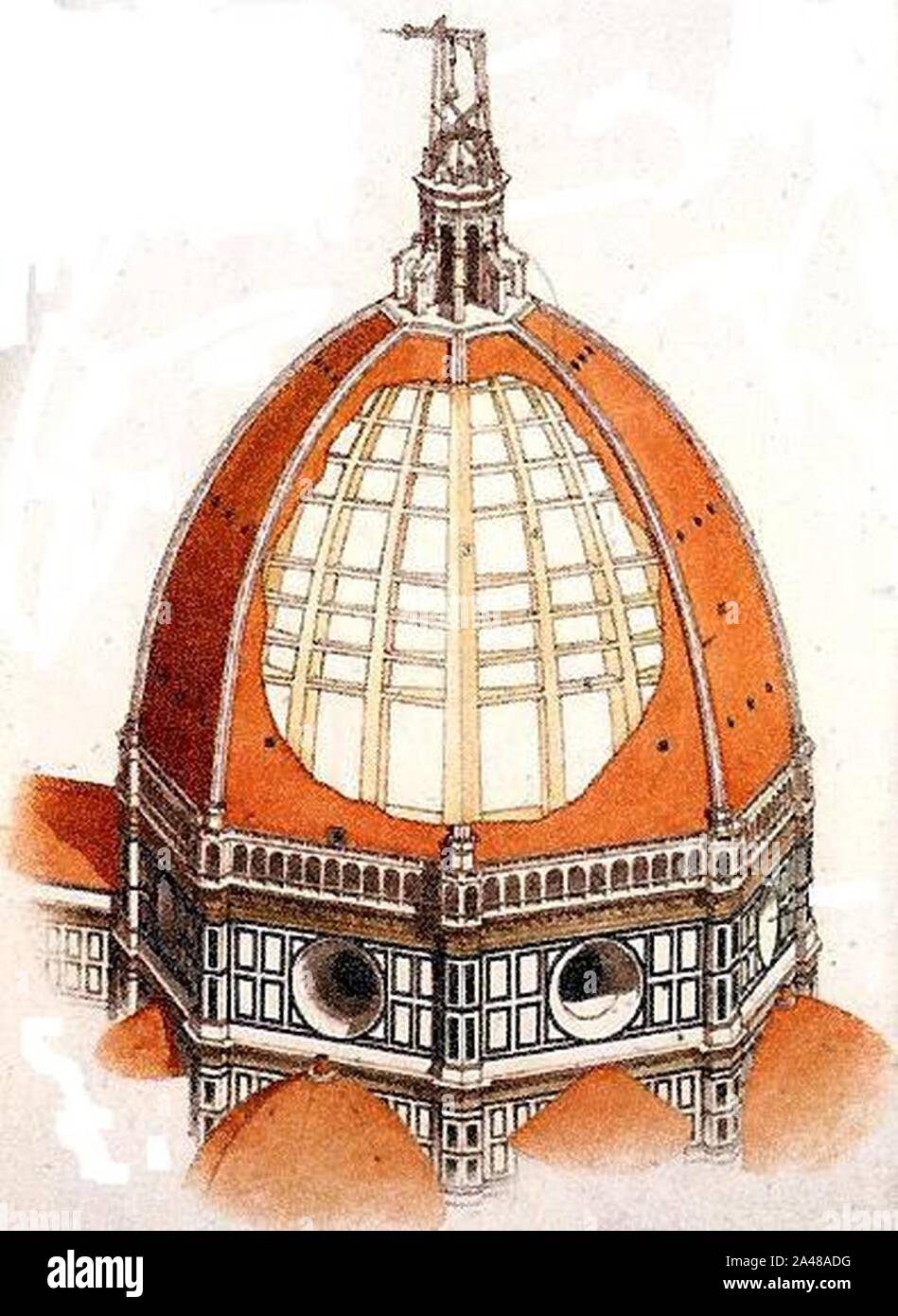 Filippo Brunelleschi cutaway of the Dome of Florence Cathedral (Santa Maria del Fiore). Stock Photo