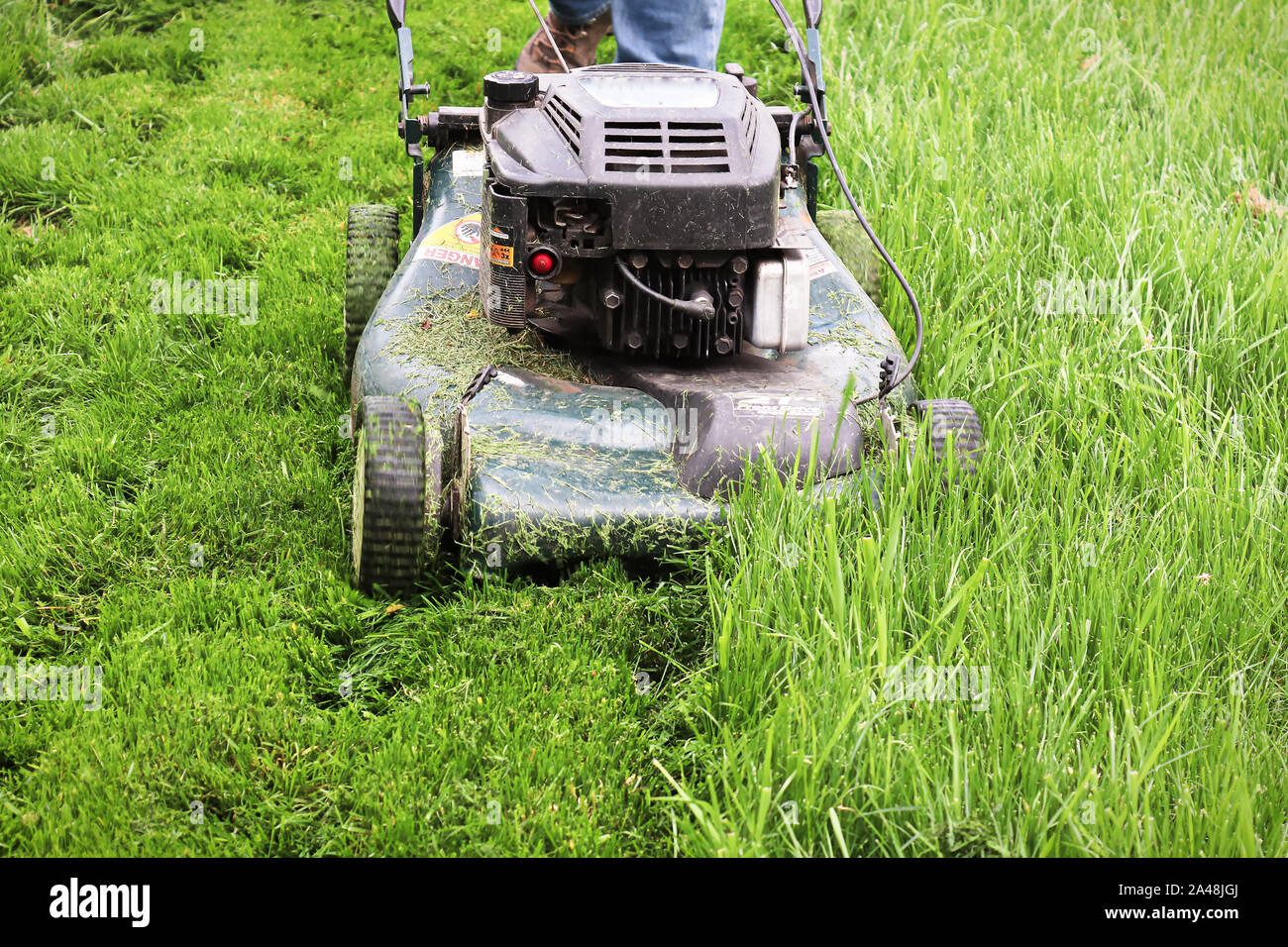 Clsoeup of a lawnmower cutting tall grass. Stock Photo