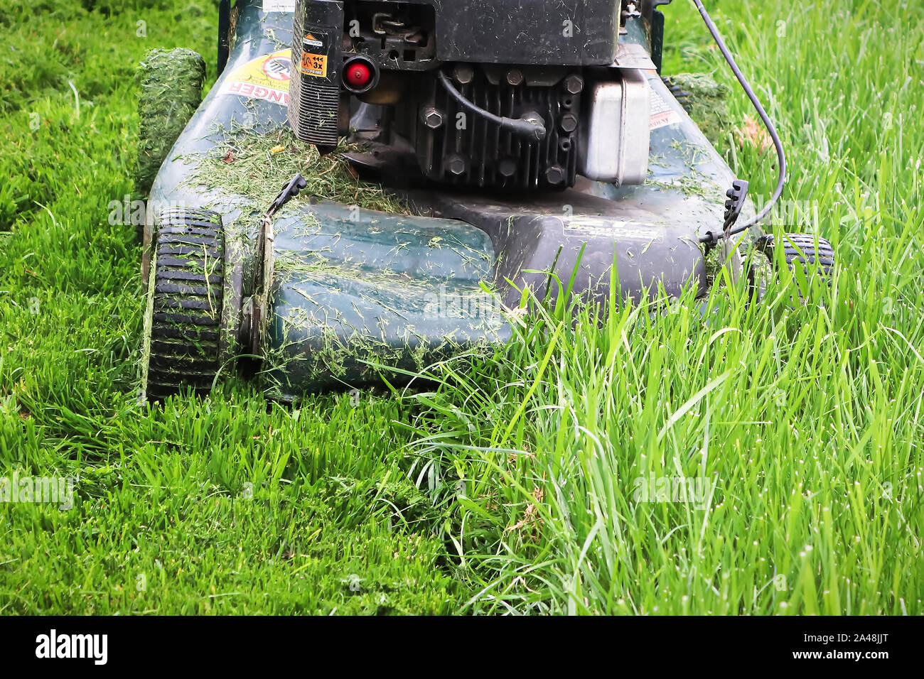 Clsoeup of a lawnmower cutting tall grass. Stock Photo