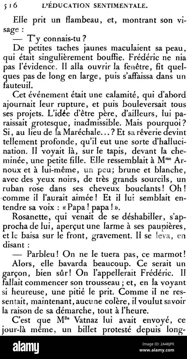 Flaubert - L'Éducation sentimentale - 516. Stock Photo