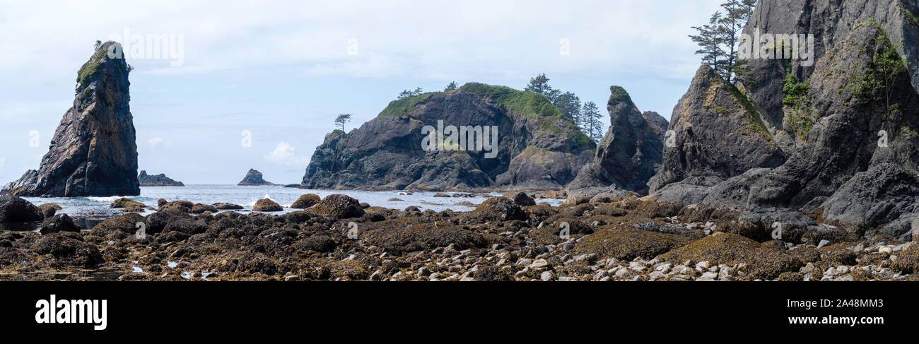 Point of the Arches Olympic National Park Geology